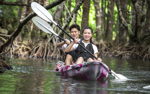 Ishigaki Island: "Phantom Island" Landing & Snorkeling & Mangrove SUP or Canoe Experience (Okinawa)