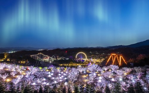 Tour đêm trọn gói từ Seoul đến Everland