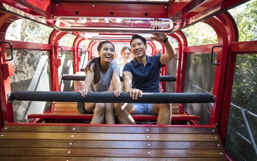 Blue Mountains Scenice World rides & Wildlife Tour from Sydney