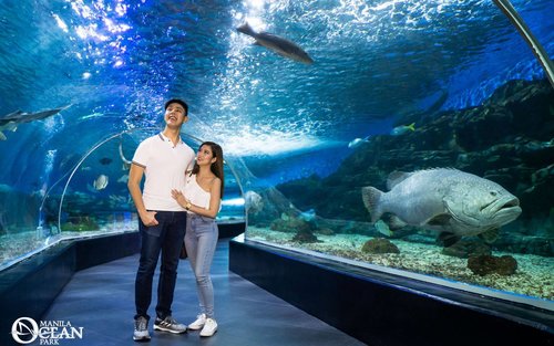 Manila Ocean Park Ticket