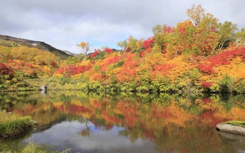 札幌層雲峡・大雪山紅葉日帰りツアー