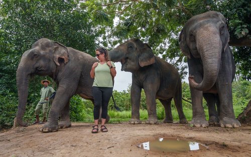 Kulen Mountain Day Trip with Picnic and Kulen Elephant Forest