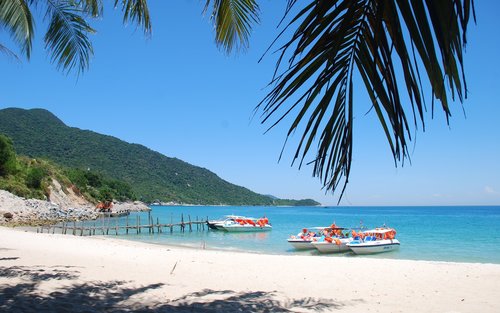 Cham Island Day Tour from Da Nang 