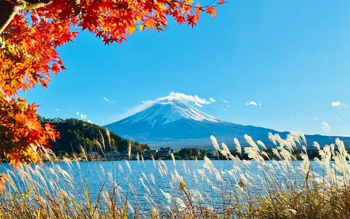 Mount Fuji & Kamakura 2-Day Tour (From Tokyo) Accommodation not included