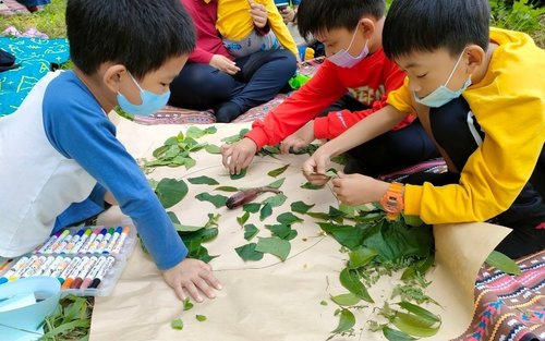 Tainan: Orchard Eco-Tour, Plant Printing & Handmade Jam Experience - Fairyland Siraya