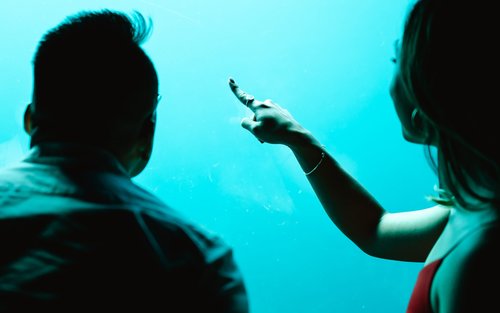 巴瑟尔顿码头水下观测站体验