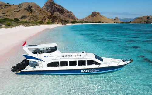 Full Day Komodo Speedboat Tour from Labuan Bajo by MK Express