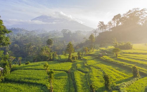 Recorregut pels llocs Patrimoni de la UNESCO a Bali