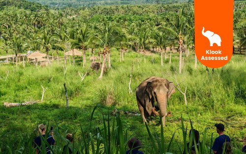 Living Green Elephant Sanctuary ชลบุรี เดินทางจากกรุงเทพฯ หรือพัทยา