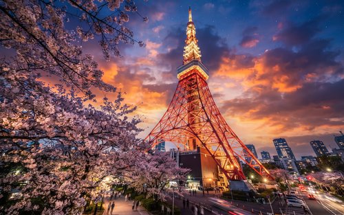 Tokyo Imperial Palace & Tower Half-Day Private Tour