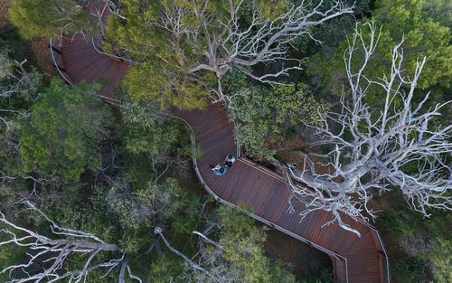 Experiencia en las tierras antiguas de la cueva Ngilgi