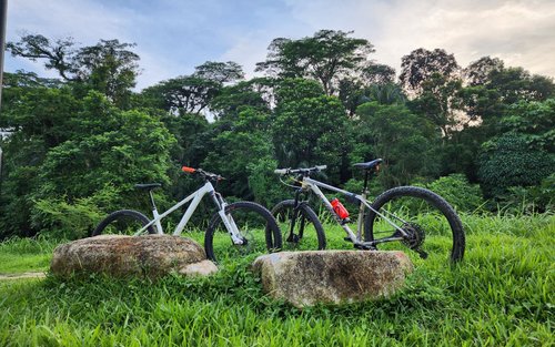 Bicycle(s) For Rent + Delivery