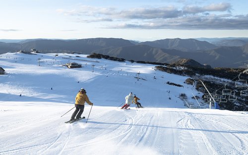 Mt Buller Day Trip - 6 Hours on the Mountain & Hot Water On Board