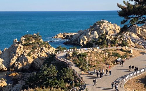 Daewangam Park & Petroglyphs of Bangudae Terrace One-day Historical & City Highlights Tour