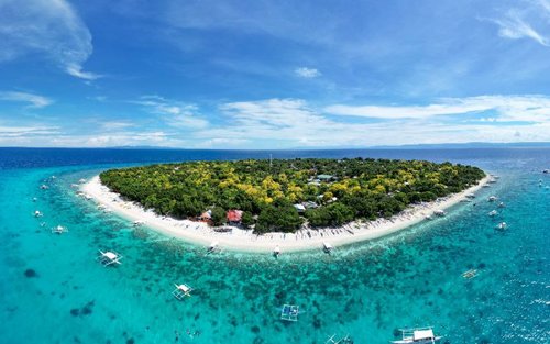 Bohol Boat Tour - Lunch, Snorkel in Coral Reef & Turtle Sanctuary