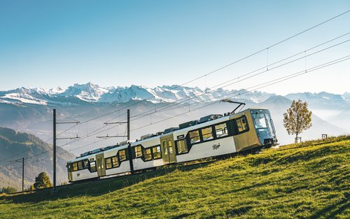 Mount Rigi - Queen of the Mountains Ticket