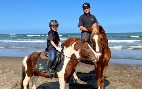 New Taipei: Tamsui Introductory Equestrian Experience