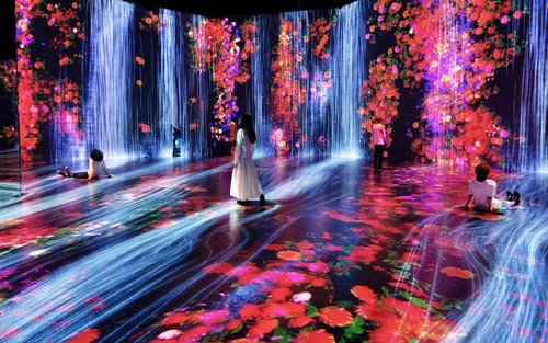 Superblue Immersive Art Experience feat. teamLab Toegang in Miami