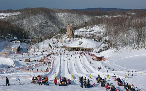 (Snow Playing) Takino SnowWorld &Hill of the Buddha day tour in Sapporo