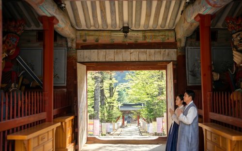 Haeinsa UNESCO & Donguibogam Village Full-Day Cultural Tour