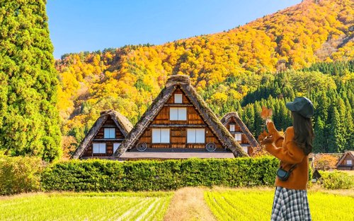 白川郷：旅行前に知っておきたいおすすめ情報