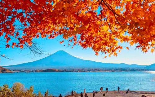 [New way to experience Mount Fuji - Fuji-Q train experience] Fuji-Q train & Lake Yamanaka & Arakurayama Sengen Park & Hikawa Clock Shop & Lake Kawaguchi & Lawson convenience store (Departing from Tokyo)