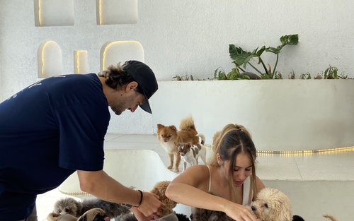 Bali Pet Nirvana - Pet Cafe and Lounge 