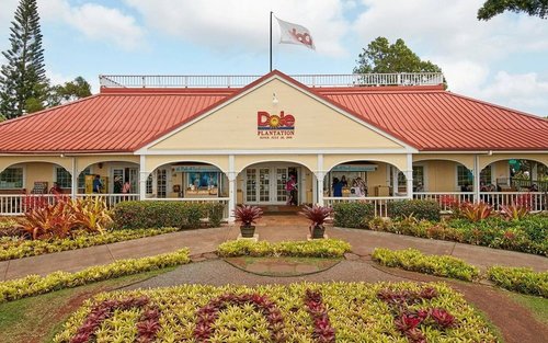 Dole Plantation: Everything You Need Before Visiting