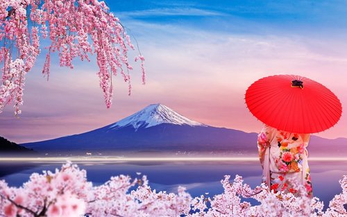 Lawatan Insta-Layak Gunung Fuji & Penerokaan Bunga Bermusim di Tasik Kawaguchi (Percuma Mochi Rumput Jepun)｜Berlepas dari Tokyo/Shinjuku