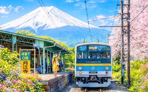 Mount Fuji Instagram-worthy train, Yamanashi seasonal fruit picking, and Oishi Park one-day tour