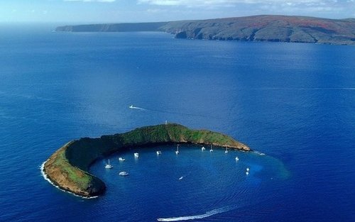Maui: Afternoon Molokini or Coral Gardens Snorkel Tour