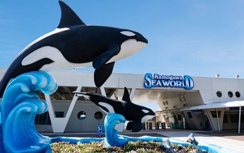 Tokyo Kamogawa Sea World, Tokijská Kannon v zálivu a zážitek v pivovaru