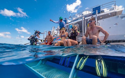 Great Barrier Reef Day Tours