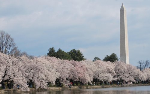 Washington Monument Ticket mit optionaler National Mall Memorial Tour