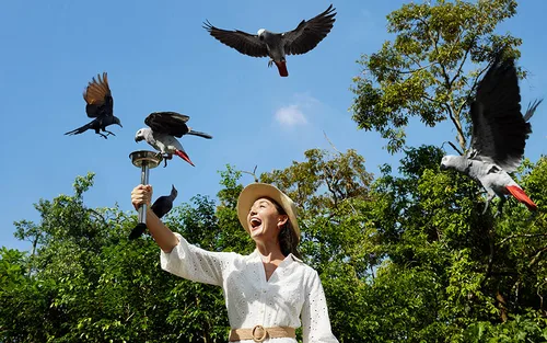 新加坡飞禽公园门票｜新加坡万礼野生动物保护区