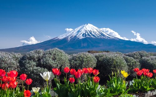 Top 10 Tokyo Day trips 2026 - Klook United States
