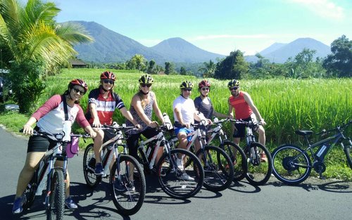 Excursió en bicicleta elèctrica per les terrasses d'arròs de Jatiluwih a Bali