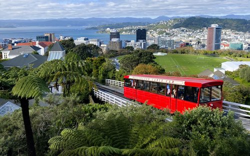 Wellington Half-Day City & Coastal Sightseeing Tour