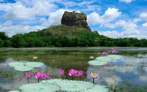 Sigiriya Village Tour and Lunch