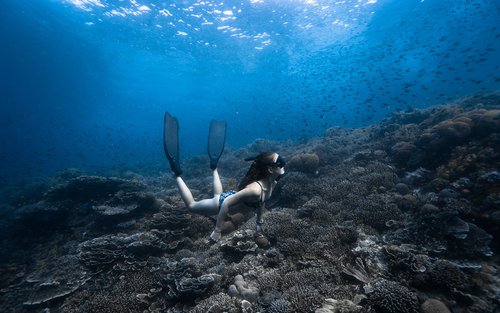Beginner Freediving Course (with Bonus Session)