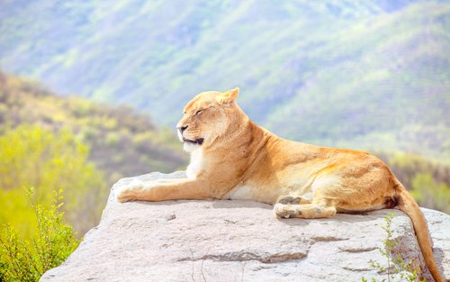 Badaling Wildlife World