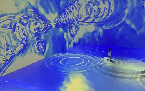 马尼拉 Art In Island 3D 美术馆门票