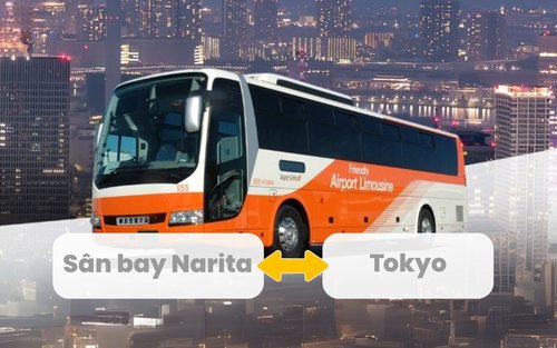 Xe buýt limousine từ Sân bay Narita đến Tokyo