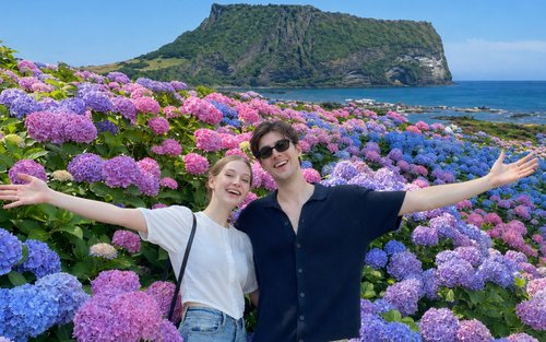 济州季节限定一日游：绣球花与世界遗产（东/西南/西部路线）