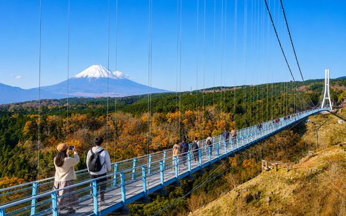 Mishima Skywalk, sběr hroznů a BBQ s mořskými plody