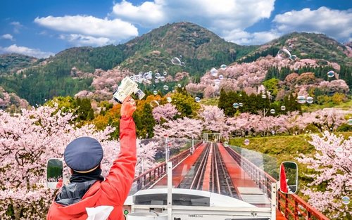 Kyushu | Takachiho Railway & Takachiho Gorge & Ama-no-Iwato Shrine Day Trip | Chinese and English Tour Guide (Departing from Fukuoka)