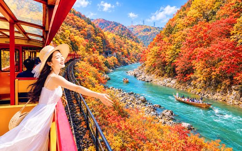 Kyoto, Arashiyama, Nara | Sagano Romantic Train, Bamboo Grove Path, Yuzen Light Forest, Nara Park, Fushimi Inari Shrine, Chiikawa Honpo Check-in Day Trip | Departing from Osaka