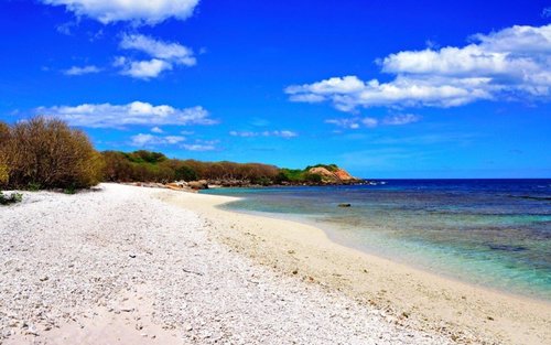 Pigeon Island National Park Snorkeling Experience from Trincomalee