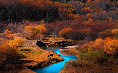 Excursie esențială de 5 zile la Ulan Butong, dus-întors din Beijing