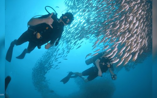 Dive into Phi Phi's Wonders - Morning Dive with PADI 5* Center